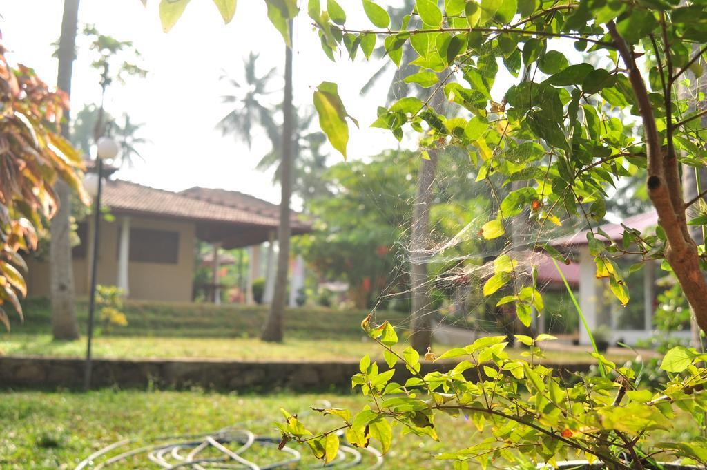 Soba Lanka Holiday Resort Melsiripura Exterior photo