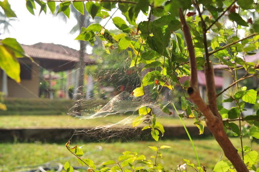 Soba Lanka Holiday Resort Melsiripura Exterior photo