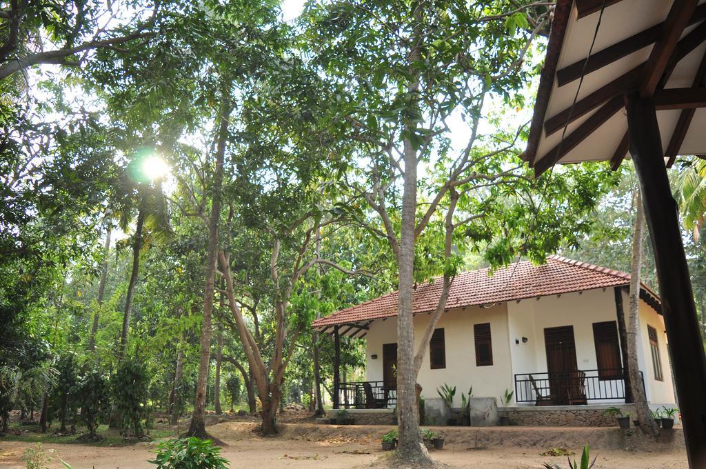 Soba Lanka Holiday Resort Melsiripura Exterior photo