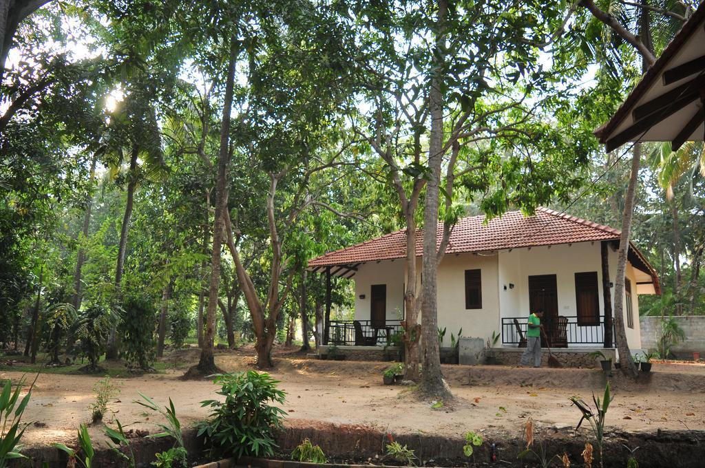 Soba Lanka Holiday Resort Melsiripura Exterior photo