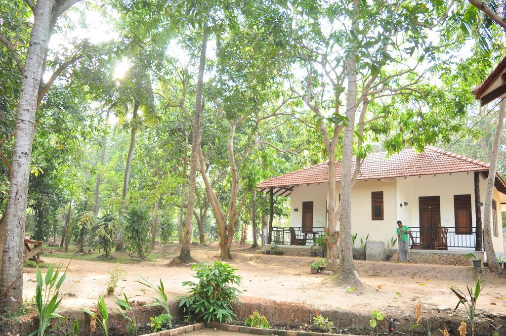 Soba Lanka Holiday Resort Melsiripura Exterior photo