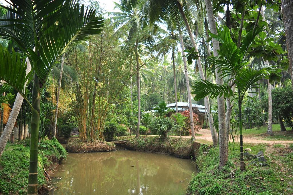 Soba Lanka Holiday Resort Melsiripura Exterior photo