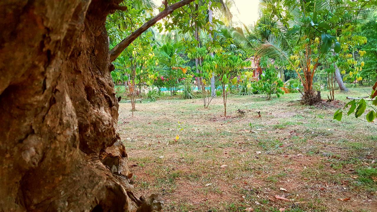 Soba Lanka Holiday Resort Melsiripura Exterior photo