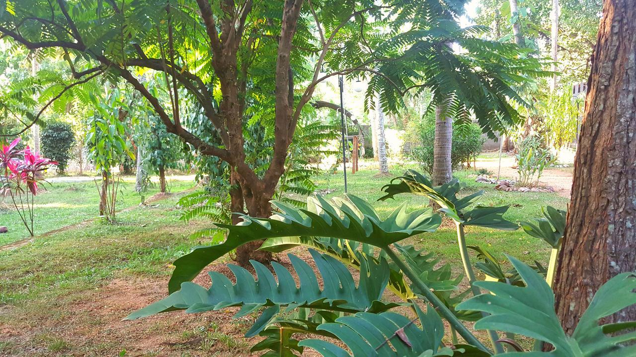 Soba Lanka Holiday Resort Melsiripura Exterior photo