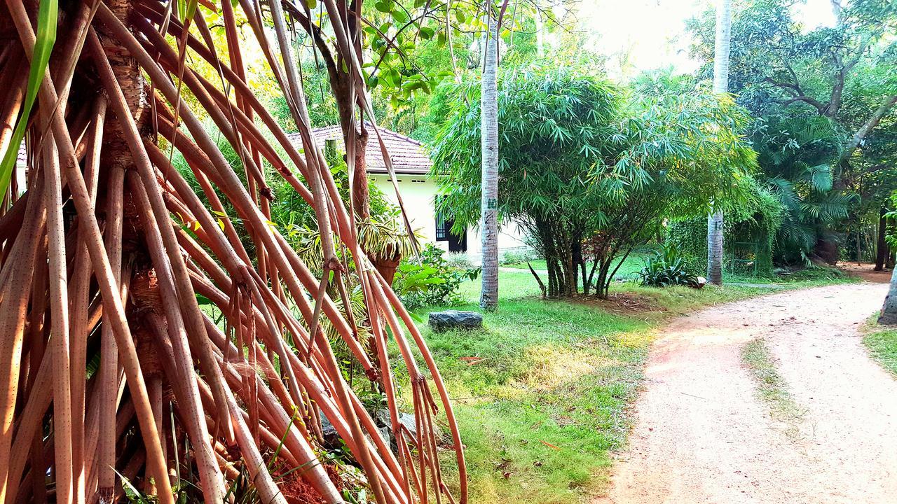 Soba Lanka Holiday Resort Melsiripura Exterior photo