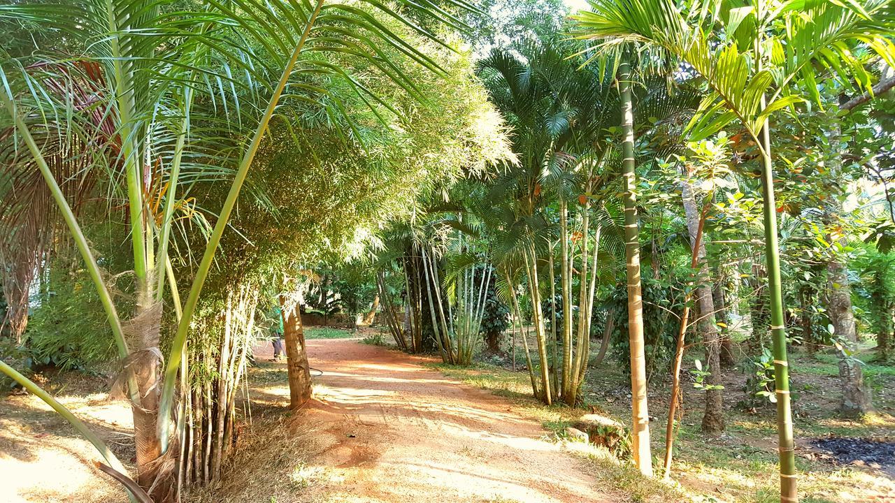 Soba Lanka Holiday Resort Melsiripura Exterior photo