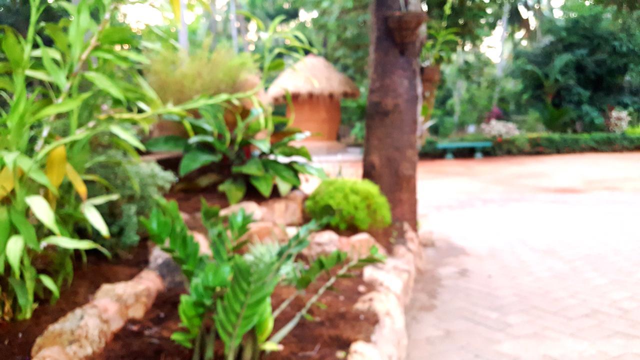 Soba Lanka Holiday Resort Melsiripura Exterior photo