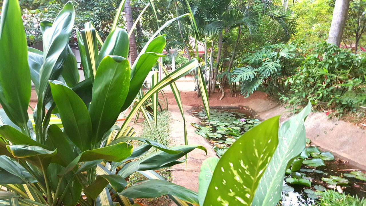 Soba Lanka Holiday Resort Melsiripura Exterior photo