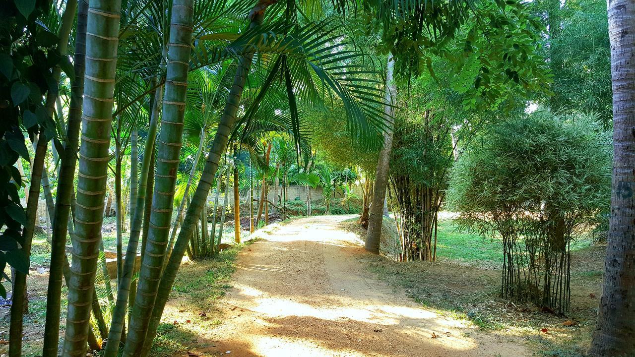 Soba Lanka Holiday Resort Melsiripura Exterior photo